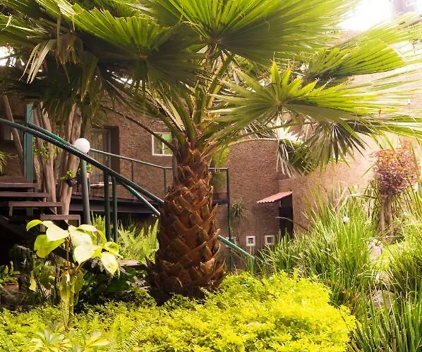 Apartment 3c, Jacaranda, Garden House, Wewlcome To San Angel