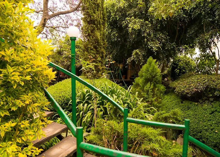 3c, Jacaranda, Garden House, Wewlcome To San Angel Mexico City