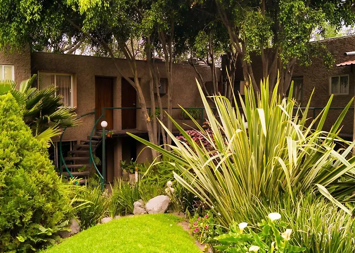 Apartment 3c, Jacaranda, Garden House, Wewlcome To San Angel Mexico City