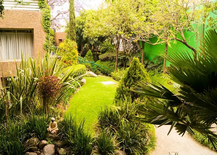 Apartment 3c, Jacaranda, Garden House, Wewlcome To San Angel Mexico City