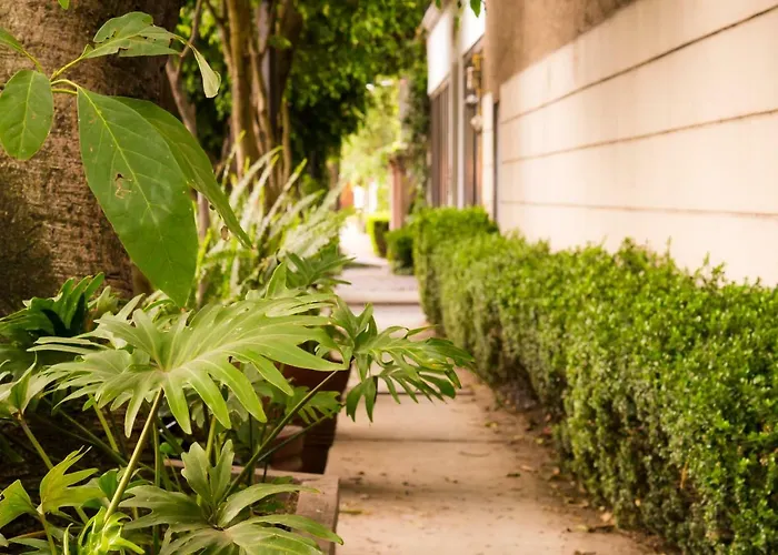 3c, Jacaranda, Garden House, Wewlcome To San Angel Mexico City