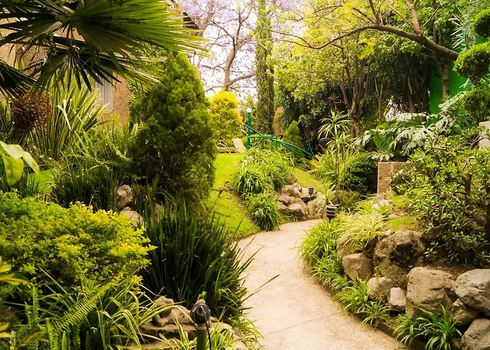 3c, Jacaranda, Garden House, Wewlcome To San Angel